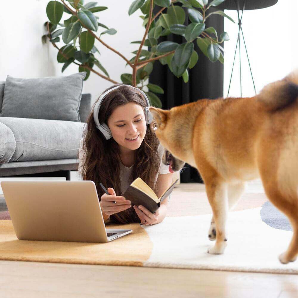 Dog obedience training.
Cat behavior tips.
Online pet training courses. Puppy potty training tips
